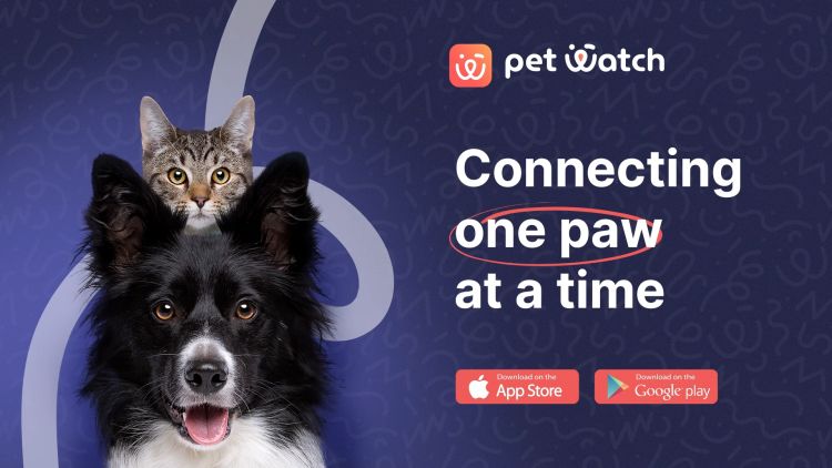 number 1 dog and cat siting app in UAE