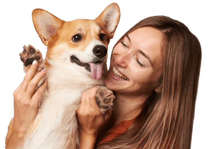 Pet Watch Blog - Corgi dog with dog owner