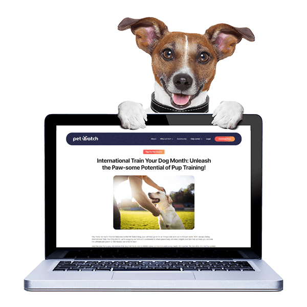 Updates-image-2 Pet Watch - cute dog as a pet watch support team