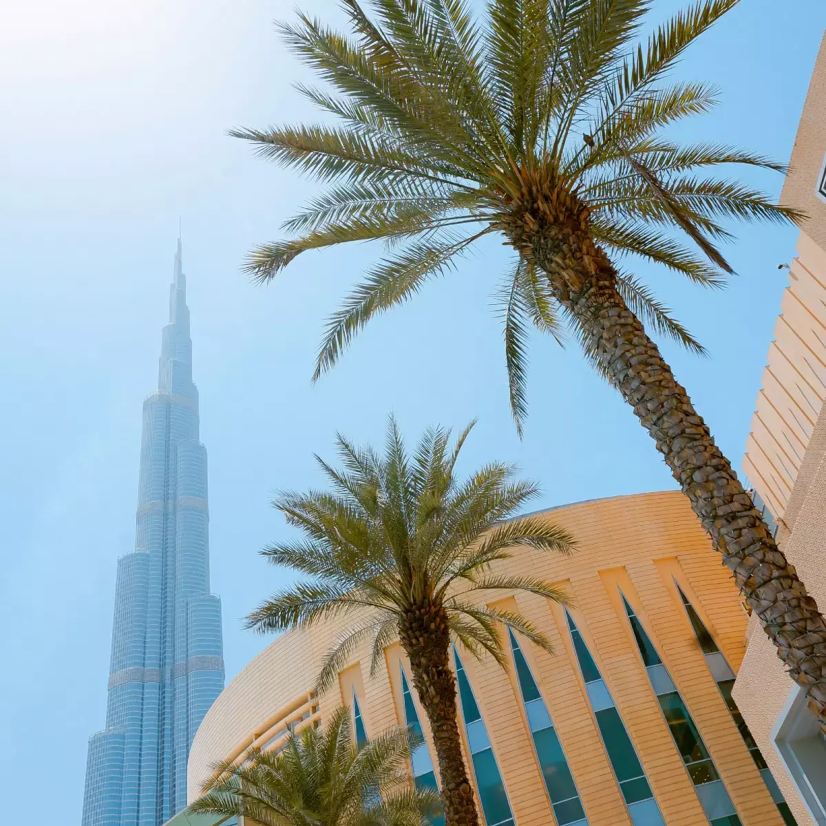 Dubais_Pet_Sitting_Market Dubai’s Pet Sitting Market