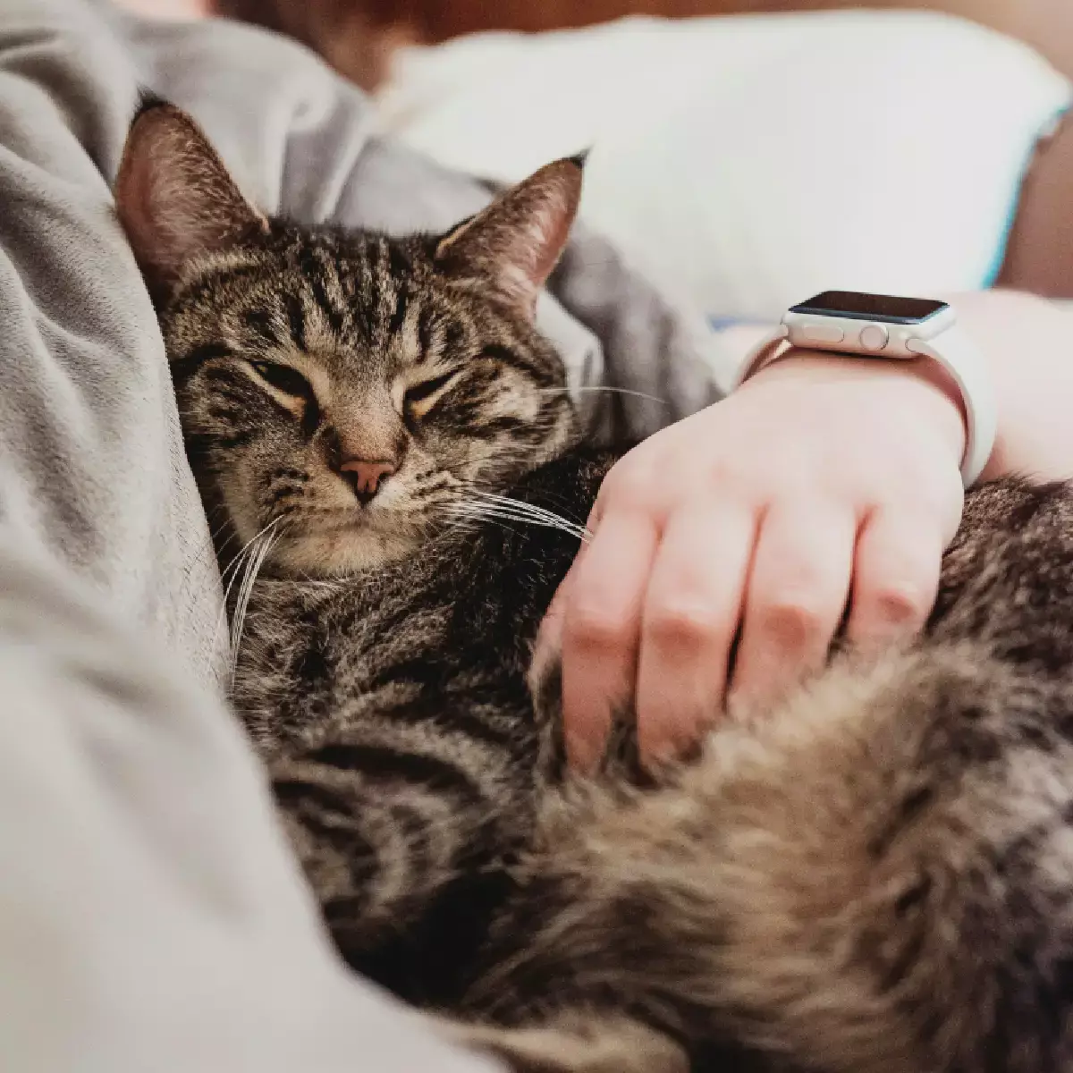 Expert_Tips_for_First-Time_Pet_Sitting Expert Tips for First-Time Pet Sitting