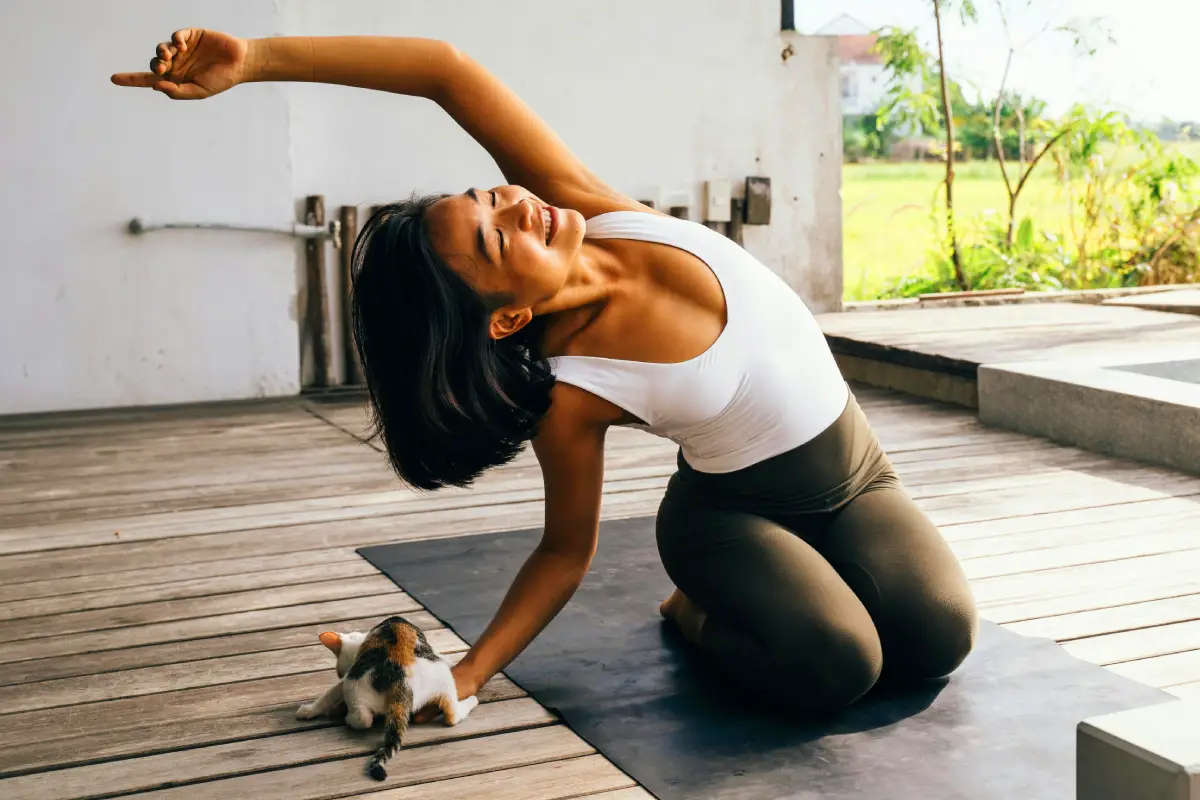 cats health benefits cats health benefits
