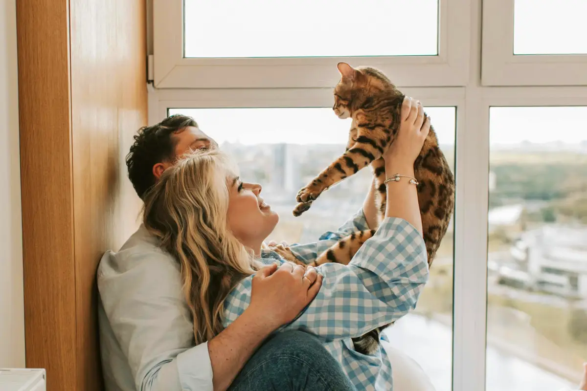 cats mental health happy family cats mental health happy family