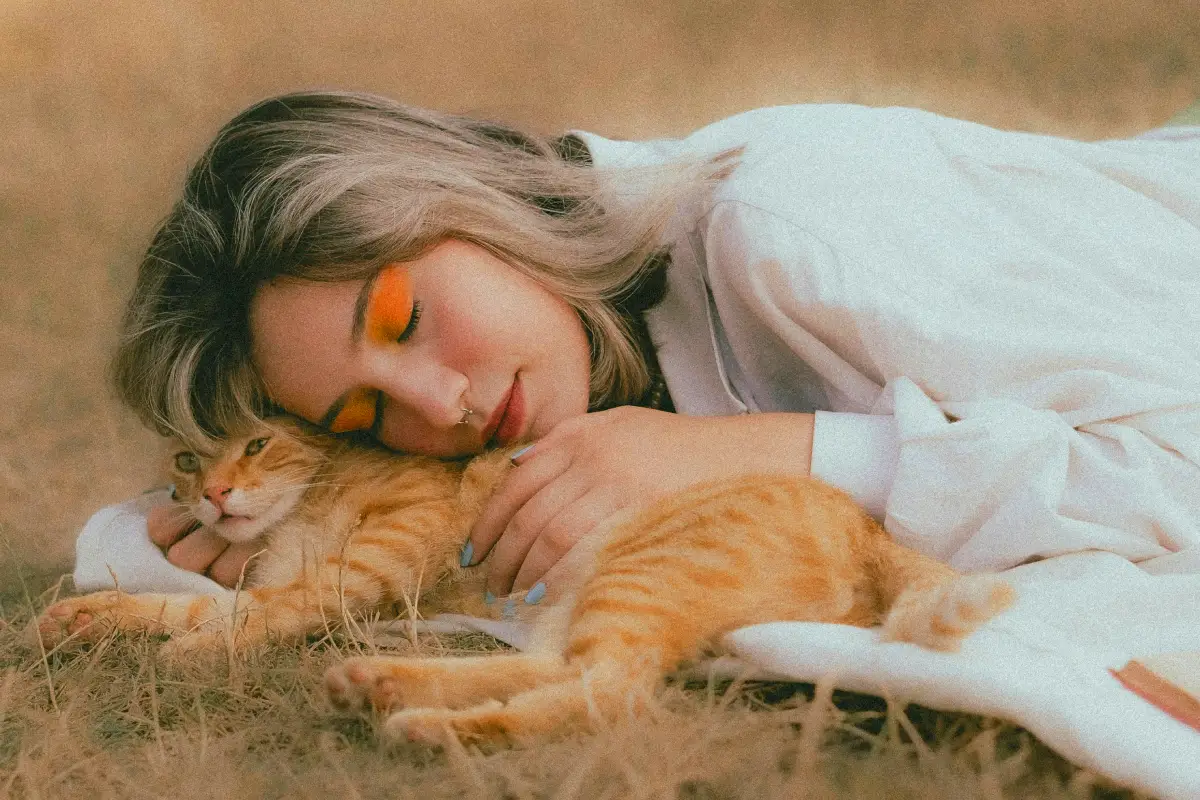 cats mental health tips cats mental health tips