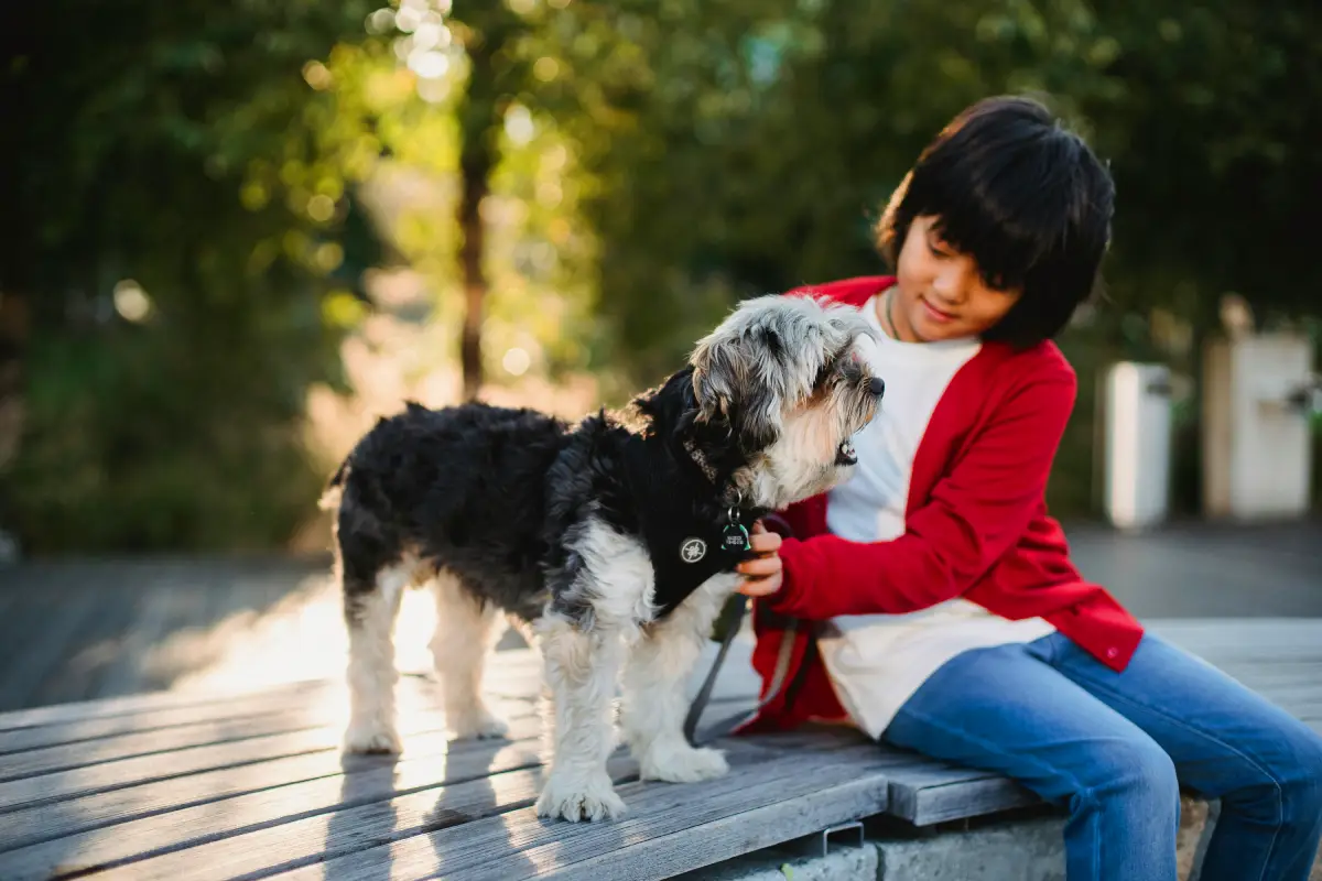 top dog names in uae boy with a dog