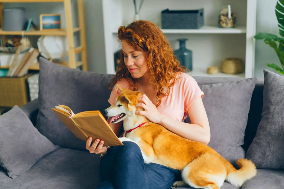 Pet Sitting vs Pet Boarding dog with sitter Pet Sitting vs Pet Boarding dog with sitter