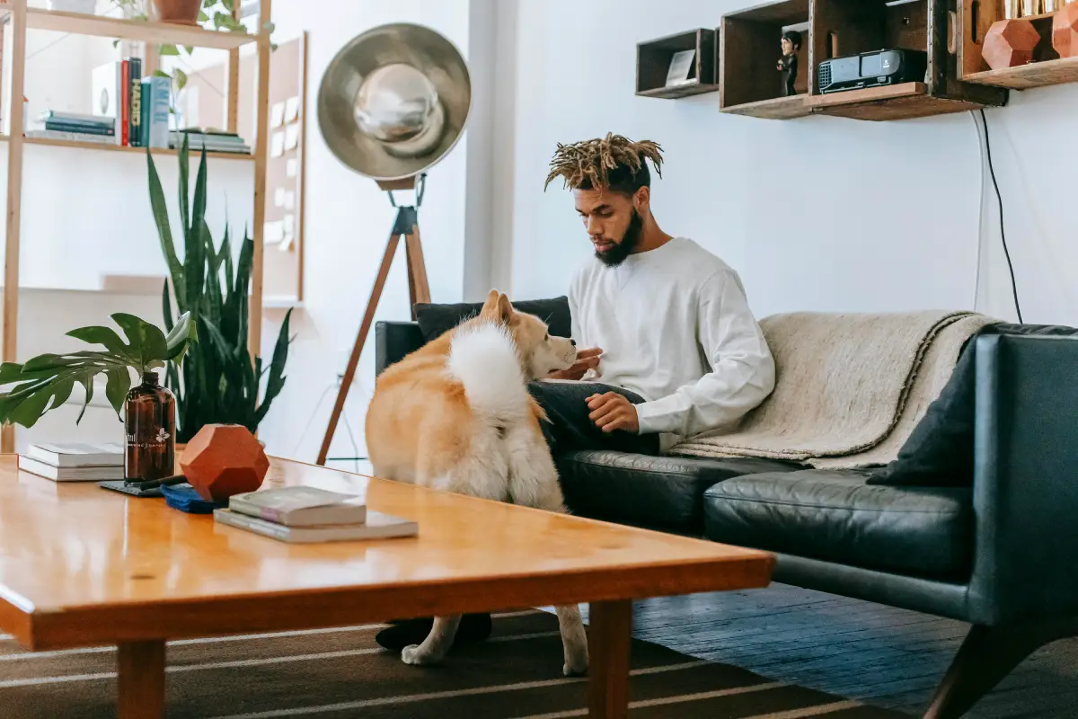 What Do Dogs Think When You Leave Them With A Sitter - dog with sitter What Do Dogs Think When You Leave Them With A Sitter - dog with sitter