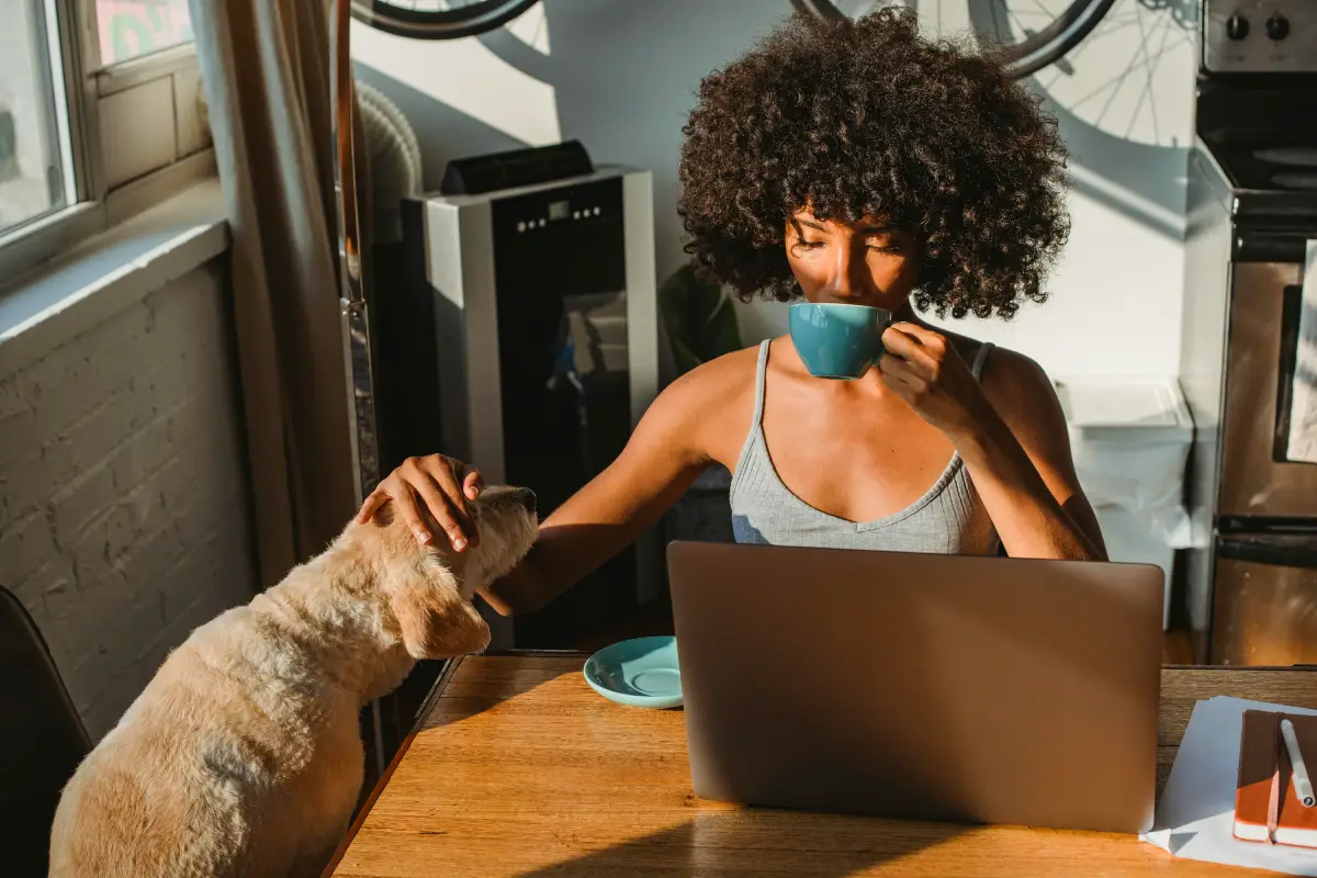 Pet Sitter vs Pet Kennel pet sitter with a cat at home drinking coffee Pet Sitter vs Pet Kennel pet sitter with a cat at home drinking coffee