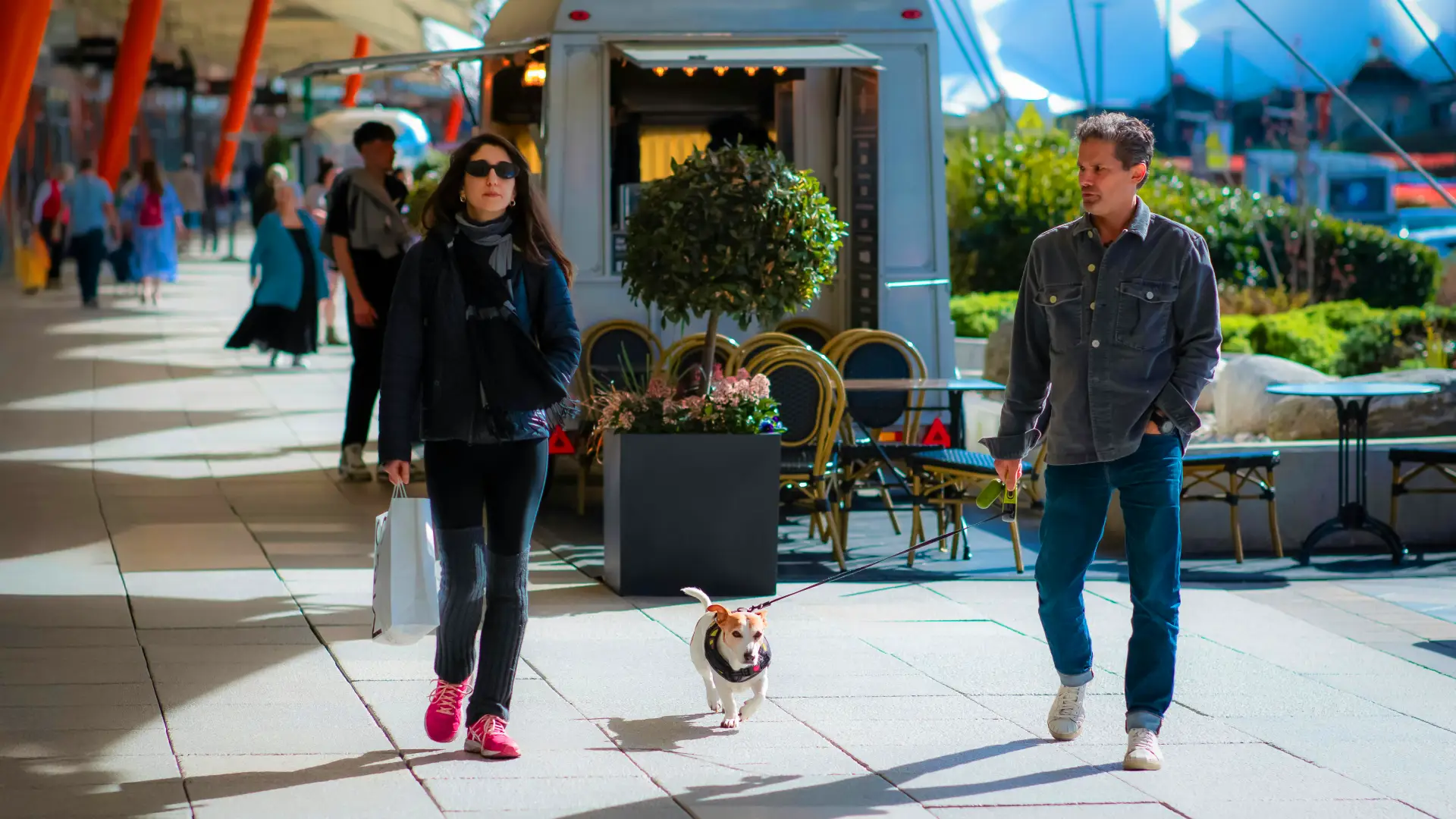 are dogs allowed in malls in dubai are dogs allowed in malls in dubai