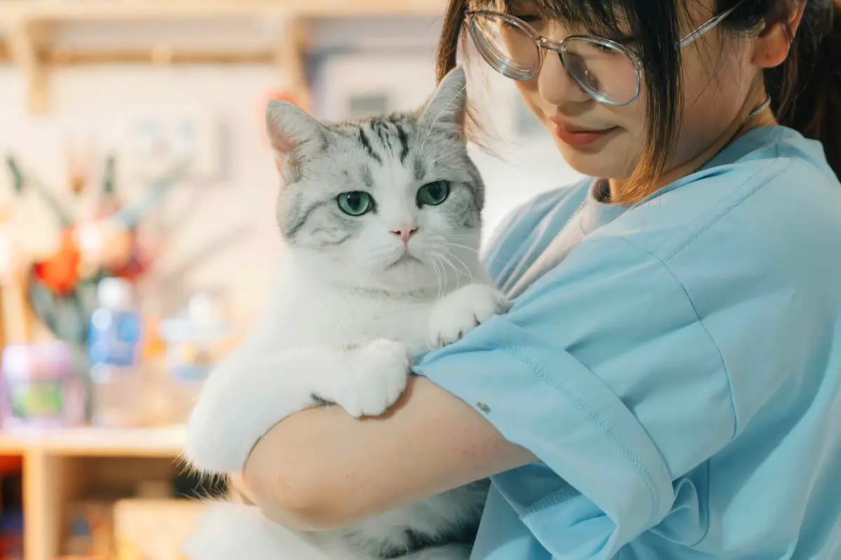 cat sitter with cat in house pet sitting cat sitter with cat in house pet sitting