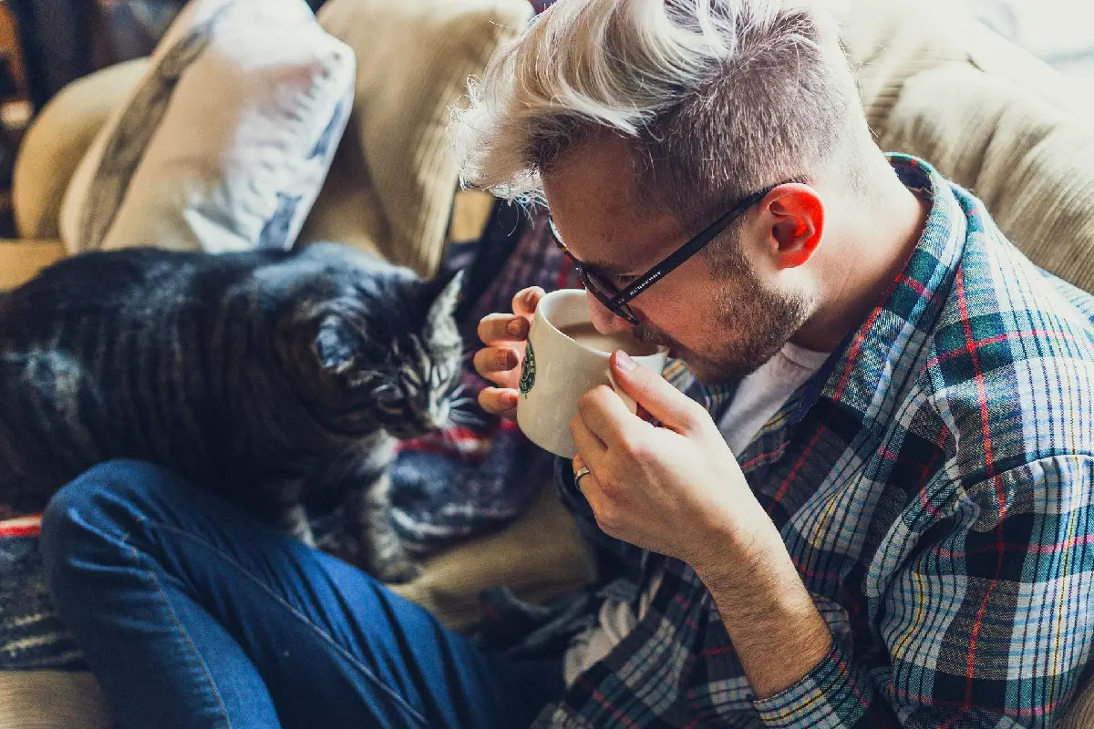pet sitting industry stats cat and sitter