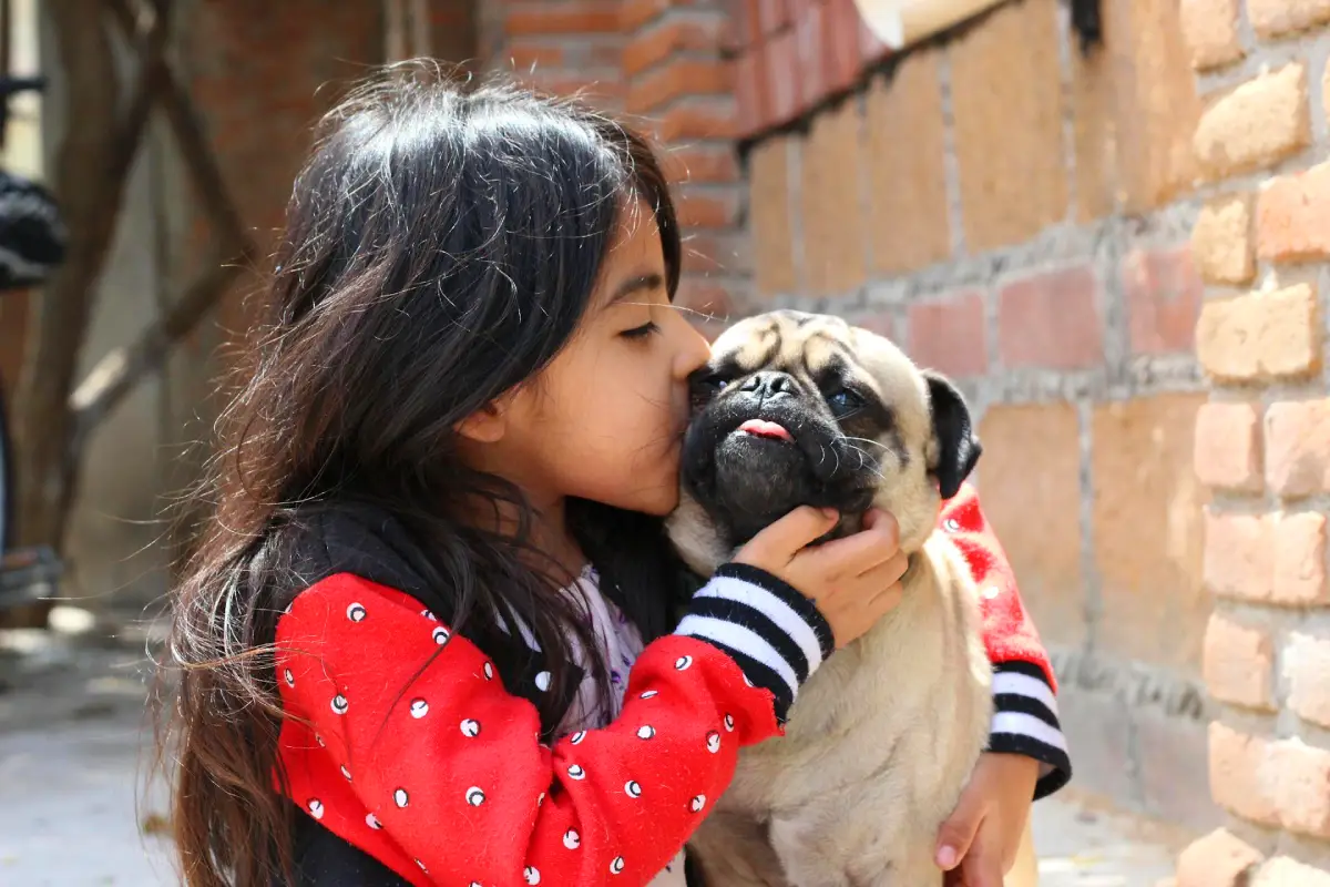 pet sitting industry stats dog and owner kid